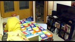 【极品稀缺 ️破解家用摄像头】短发女大学生被男友捆绑日常做爱 妹子挺漂亮 很配合男友各种体位操 高清720P原版