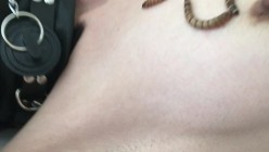 推荐 【重口味】虫子调教,捆绑,让多条虫子爬奶头,扔嘴里,妹子惊声尖叫,相当刺激