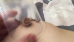 推荐 【重口味】虫子调教,捆绑,让多条虫子爬奶头,扔嘴里,妹子惊声尖叫,相当刺激
