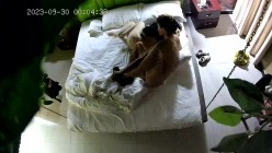 小情侣酒店开房,情趣吊床房,气质眼镜小女友,晚上继续操,扒下裤子一顿输出,搞舒服了