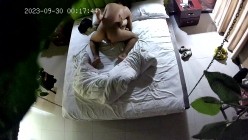 小情侣酒店开房,情趣吊床房,气质眼镜小女友,晚上继续操,扒下裤子一顿输出,搞舒服了