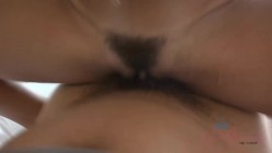 HOL-046