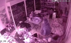 真实偸拍有钱古董店老板在仙丹加持下把店铺当妓院，经常约炮不同女人，有少妇有熟女