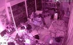 真实偸拍有钱古董店老板在仙丹加持下把店铺当妓院，经常约炮不同女人，有少妇有熟女