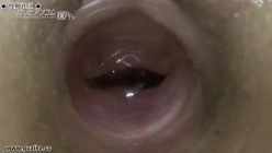 caribbeancom-051515_001 マンコ図鑑 波多野結衣